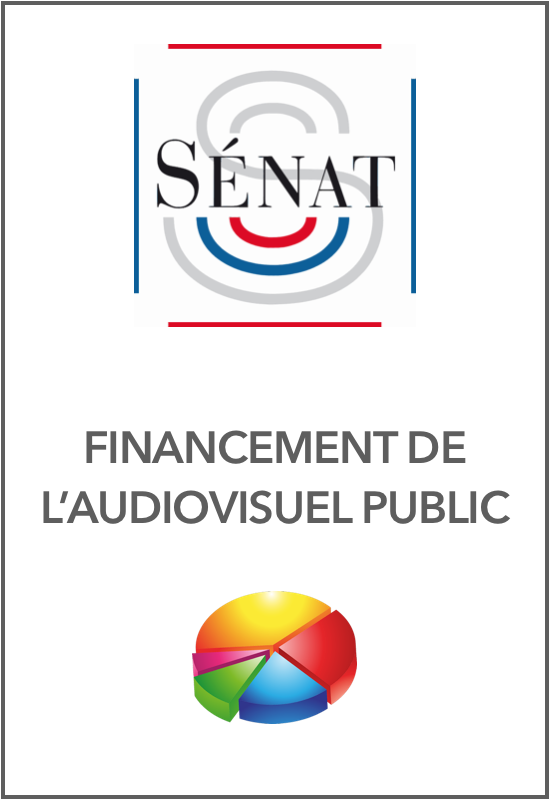 Rapport du Sénat sur le financement de l'audiovisuel public - André GATTOLIN - Jean-Pierre LELEUX