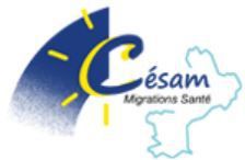 Action Langage avec Cesam Migration Sante