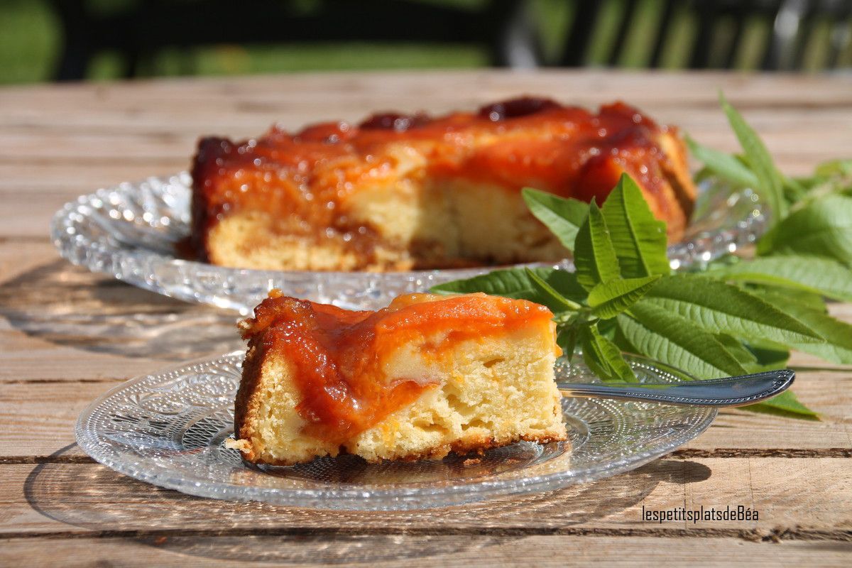 Gateau Renverse Caramelise Aux Abricots Les Petits Plats De Bea