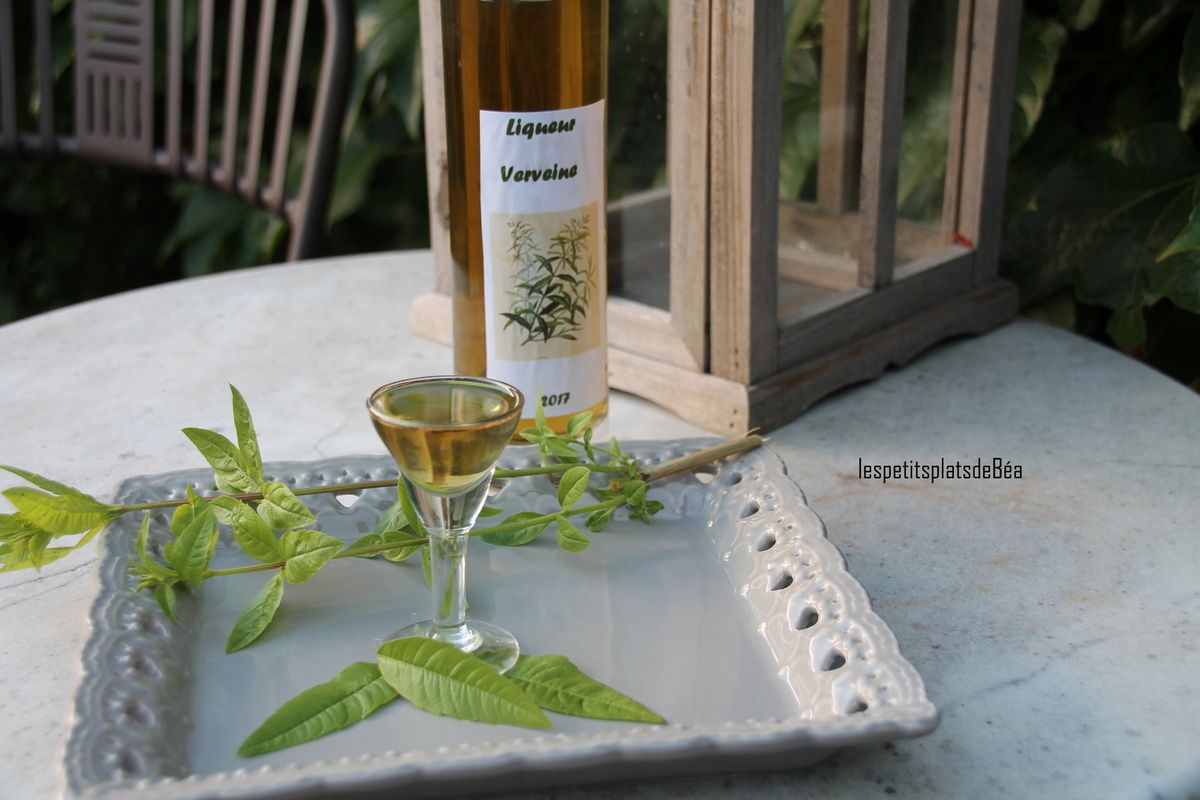 Recette Liqueur De Verveine Avec Alcool De Fruit Liqueur de verveine citronnelle - Les petits plats de Béa