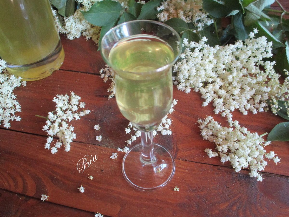 Liqueur de fleurs de sureau Les petits plats de Béa