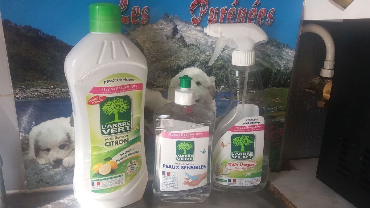 L'Arbre vert Savon de vaisselle écologique pour peaux sensibles