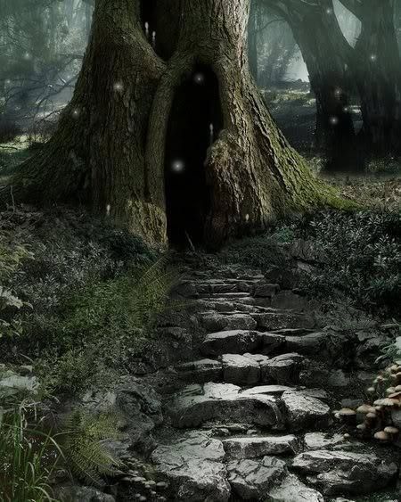 Le Voyage Chamanique