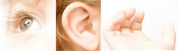 Visuels, auditifs et kinesthésiques