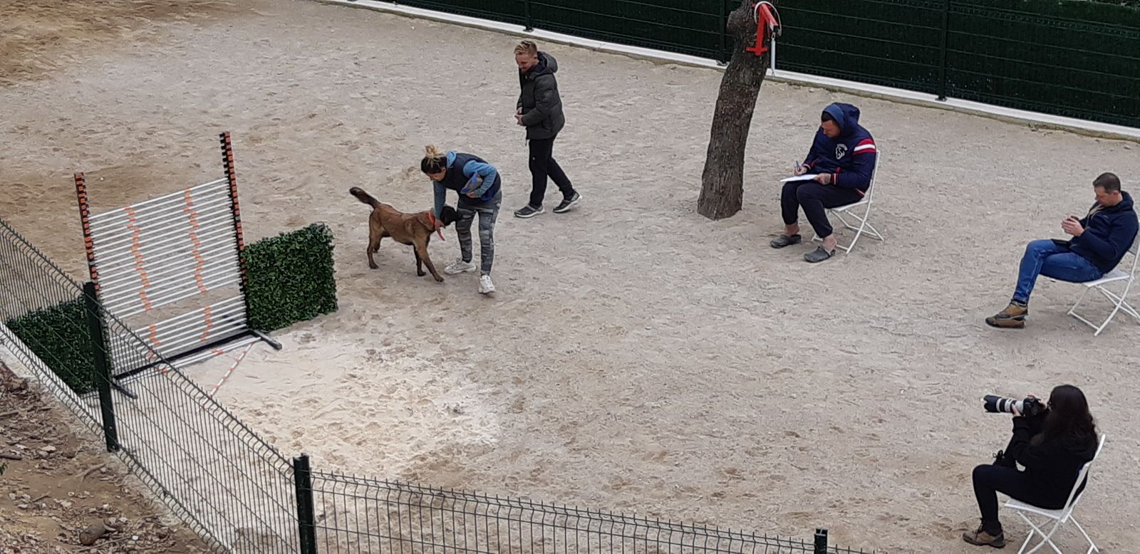 Championnat Canin à Contes