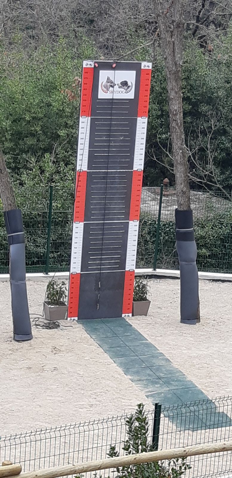 Championnat Canin à Contes