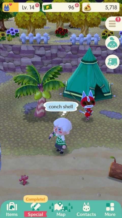 plage Animal Crossing Pocket Camp