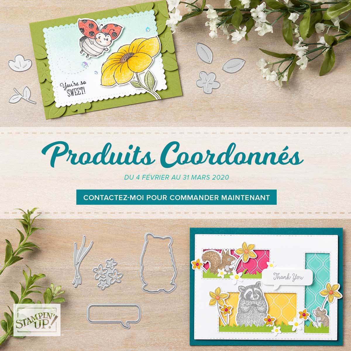 Stampin'Up! articles coordonnés à vos produits préférés du mini-catalogue janvier-juin 2020 et de la brochure Sale-A-Bration