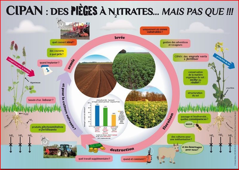 Vers une interdiction des pièges à colle