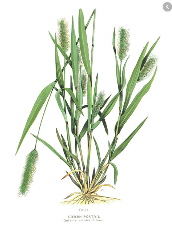 La découverte d'un moyen de réduire un goulet d'étranglement dans la