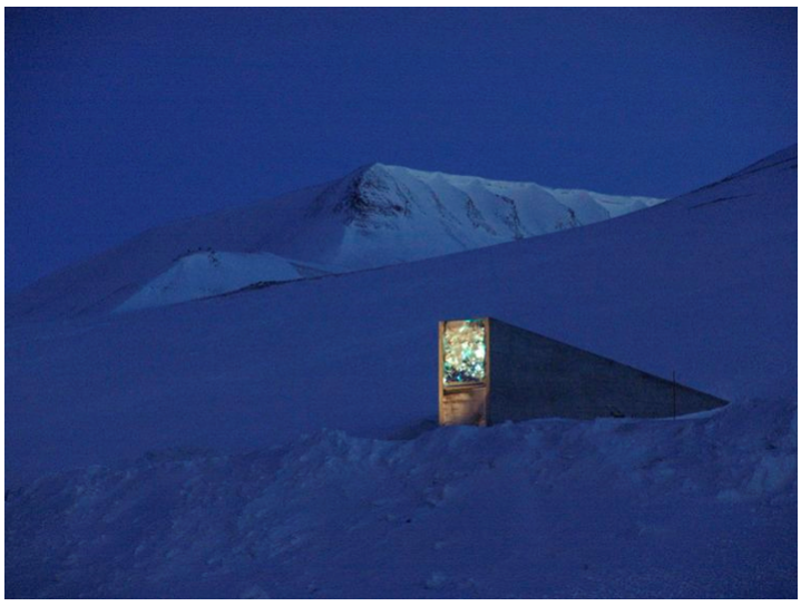 Mythes Et Realites A Propos De La Reserve Mondiale De Semences Du Svalbard Un Entretien Avec Cary Fowler Agriculture Alimentation Sante Publique Soyons Rationnels