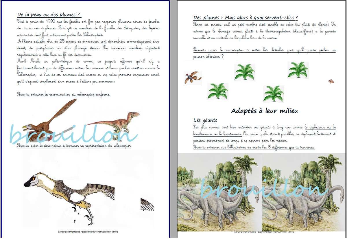 Les Dinosaures La Haut Sur La Montagne