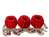 muffins aux framboises