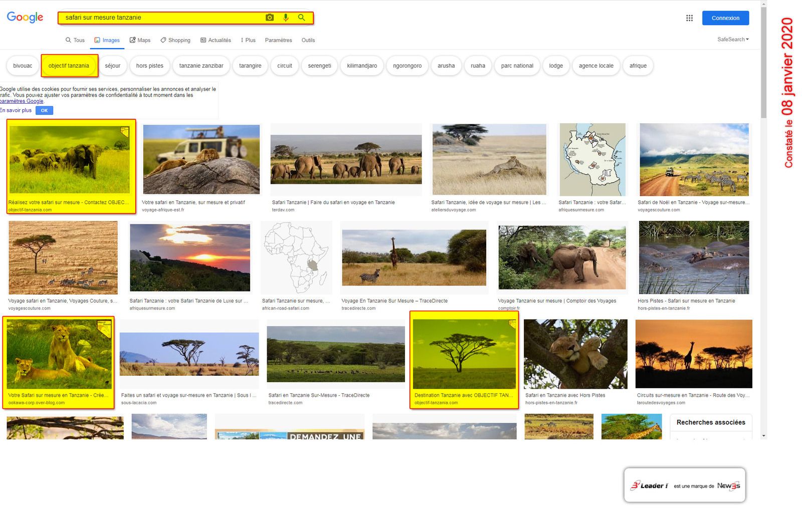 Expression "safari à la carte en tanzanie" positionnée par B'leader pour le compte de OBJECTIF TANZANIA, agence spécialisée en safari sur mesure en Tanzanie (afrique)
