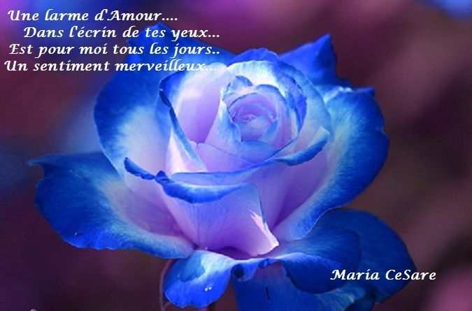 Cette Larme D Amour Maria Cesare Cette Larme D Amour Maria Cesare