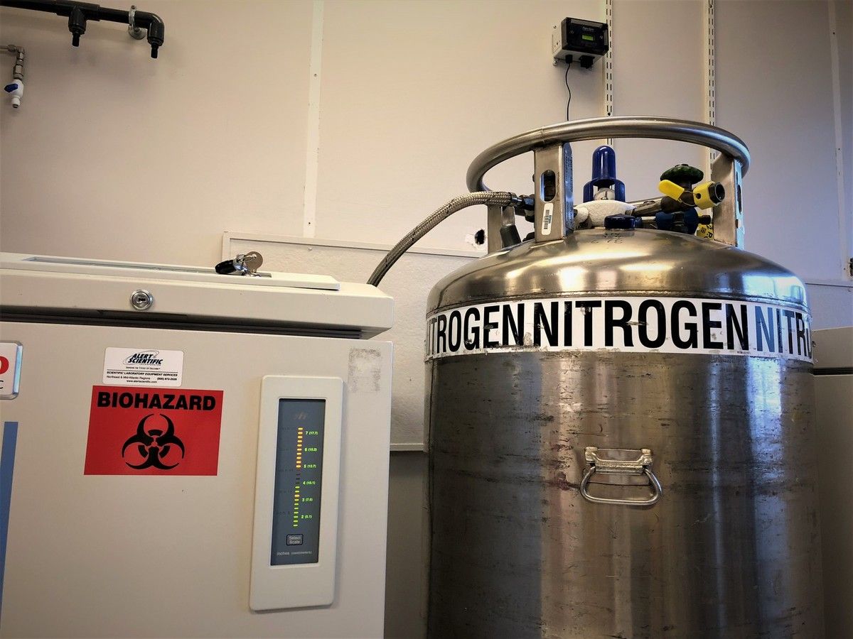 How to Monitor Oxygen Levels in a Room? PureAire Monitoring Systems