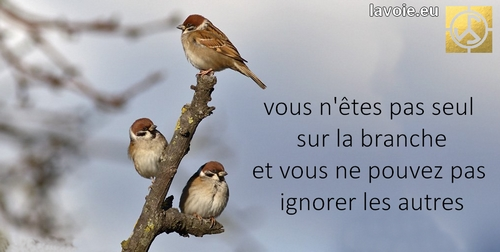 Satsang de sri hans Yoganand ji à propos de spiritualité, de la perfection de Dieu de sa Lilà.