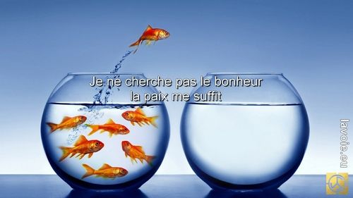 Satsang de sri hans Yoganand ji à propos de la spiritualité, de La Voie, du bonheur et de la béatitude.
