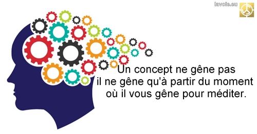 Satsang de sri hans Yoganand ji à propos de spiritualité, de La Voie, de pratique et des concepts.