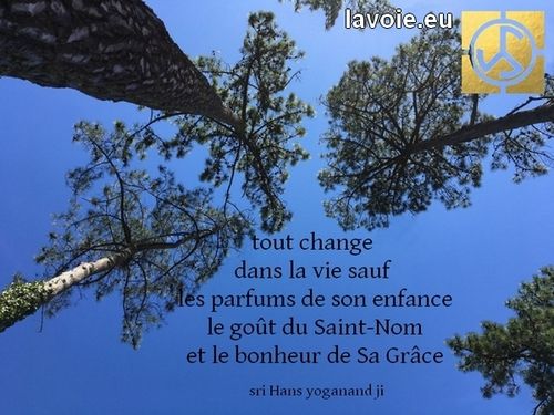 Satsang de sri hans Yoganand ji sur la spiritualité, le bonheur, La Voie, l'enfance et sa madeleine.