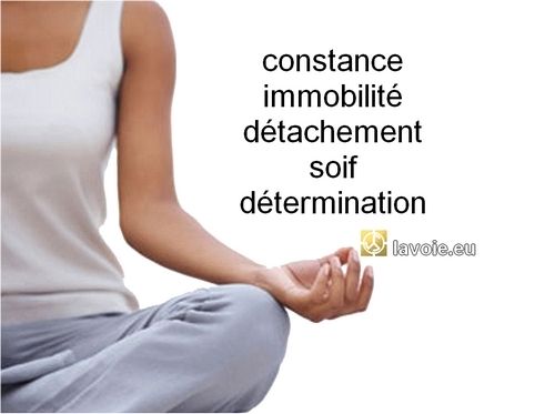 Satsang de sri hans Yoganand ji à propos de la spiritualité, de La Voie, de la méditation.