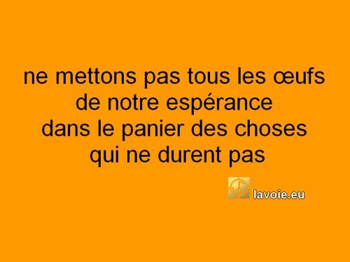 Satsang de sri hans Yoganand ji sur la spiritualité, La Voie, l'impermanence, la mort.