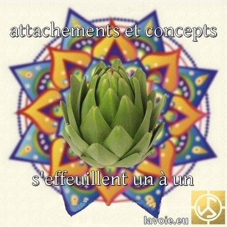 Satsang de sri hans Yoganand ji, sur la spiritualité, La Voie et la pratique quotidienne de l'agya.