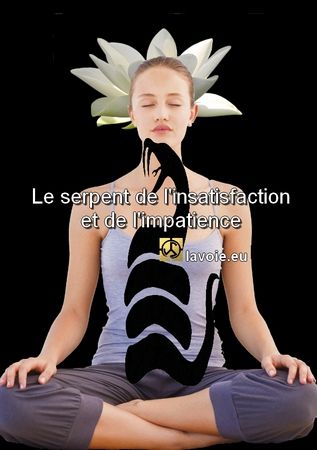 Satsang de sri hans Yoganand ji sur la spiritualité, la macrobiotique, Oshawa, la voie, l'impatience.