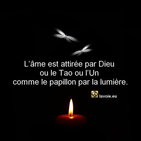 Satsang de sri hans Yoganand ji sur la spiritualité, La Voie, l'âme et Dieu.