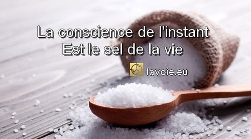 Satsang de sri hans Yoganand ji sur la spiritualité, La Voie, la méditation et le sel de la Terre.