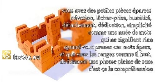 Satsang de sri hans Yoganand ji sur la spiritualité, La Voie et la réalisation.