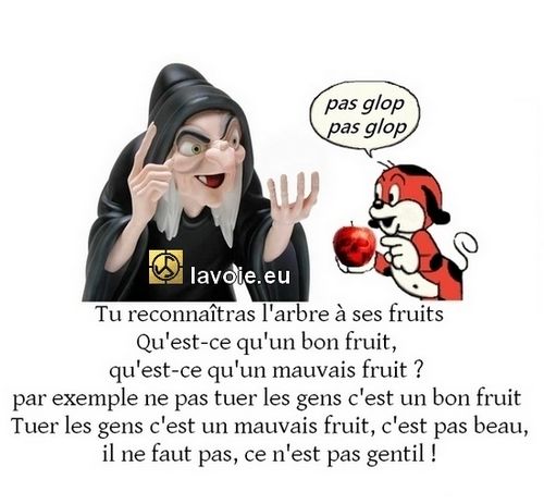 Satsang de sri hans Yoganand ji sur la spiritualité, La Voie, les faux-prophètes, les bons et les mauvais fruits.