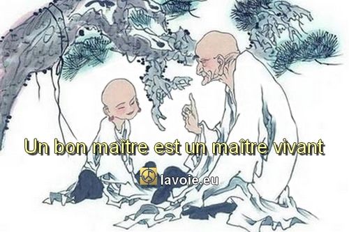 Satsang de sri hans yoganand ji sur la spiritualité, l'enseignement, les gurus vivants.