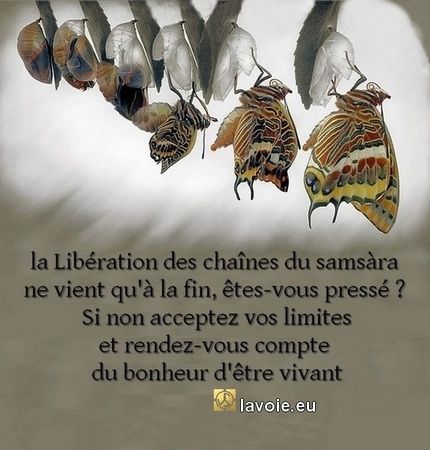 Satsang de sri hans Yoganand ji sur la spiritualité, La Voie, la libération et la conscience de la Grâce.