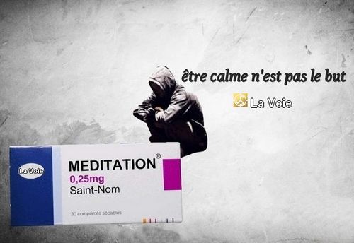 Satsang de sri hans Yoganand ji sur la spiritualité, La Voie, la méditation, le zen, le calme.