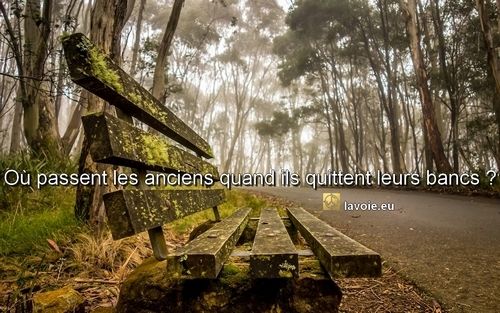 Satsanf de sri hans Yoganand ji sur la vérité, la spiritualité, la voie, le bonheur et la vie.