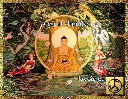 Satsang de sri hans Yoganand ji sur la spiritualité, la dualité, l'Unité, le yoga et La Voie.