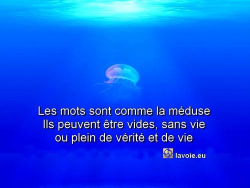 Satsang de sri hans Yoganand ji sur la spiritualité, La Voie, le bonheur et la vie.