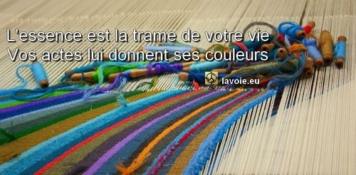 Satsang de sri hans Yoganand ji sur la spiritualité, La Voie, la vie et nos actes.