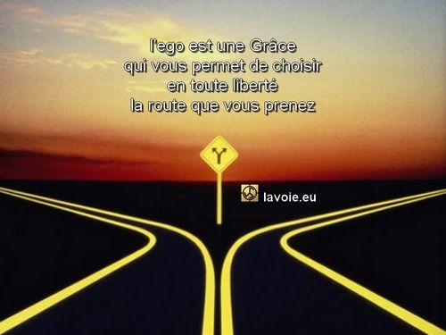 Satsang de sri hans Yoganand ji sur la spiritualité, La Voie, le libre-arbitre ou liberté.