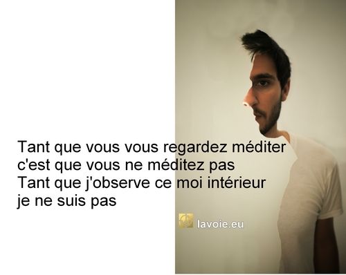 Satsang de sri hans Yoganand ji sur la spiritualité, La Voie, l'être et le paraître, la vérité.