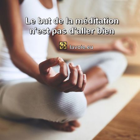 Satsang de sri hans Yoganand ji sur la spiritualité, La Voie et la méditation.