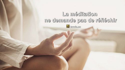 Satsang de sri hans Yoganand ji sur la méditation, la spiritualité, La Voie.