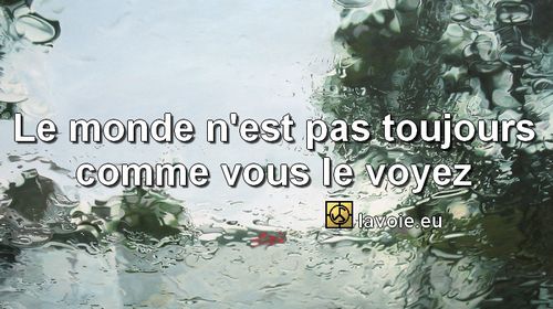 Satsang de sri hans Yoganand ji sur la spiritualité, La Voie, l'objectivité, la subjectivité et le monde.