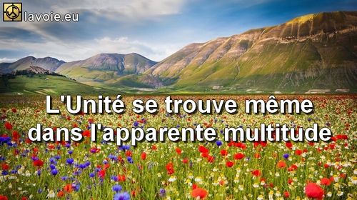Satsang de sri hans Yoganand ji sur la spiritualité, La Voie, les plaisirs, les désirs et la vérité.