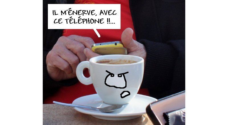 Dimanche 24 janvier avec Chef.