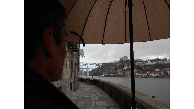 A lapa do Porto