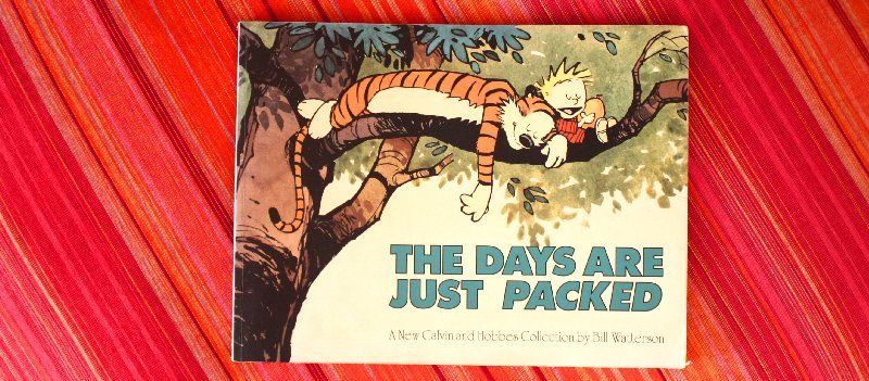 Où est-y ? Grrrrr !...