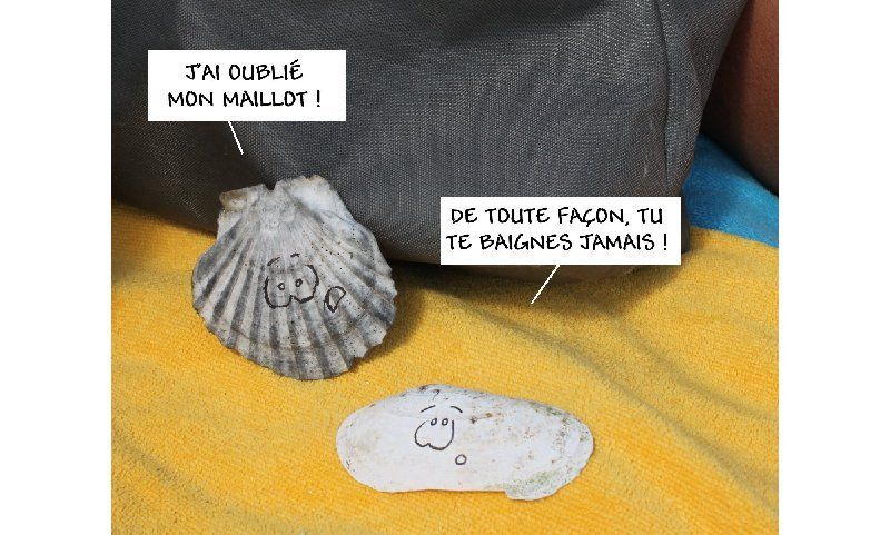 Berniques ou patelles ? (suite 08)