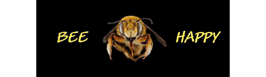 Bee forte aux dés